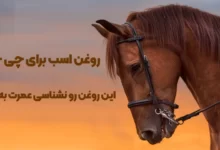 روغن اسب برای چی خوبه؟ این روغن رو نشناسی عمرت به فنا رفته