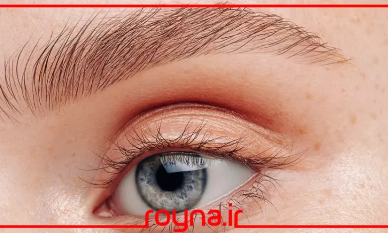 ژل ابرو اسنس صورتی؛ بررسی کارایی و قیمت و خرید ژل ابرویی سلبریتی ها طرفدارشن