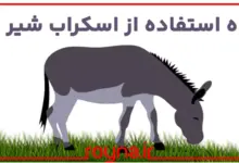 نحوه استفاده از اسکراب شیر الاغ؛ اگه اینو بلد نیستی اصلا اسکراب شنی شیر الاغ نخر