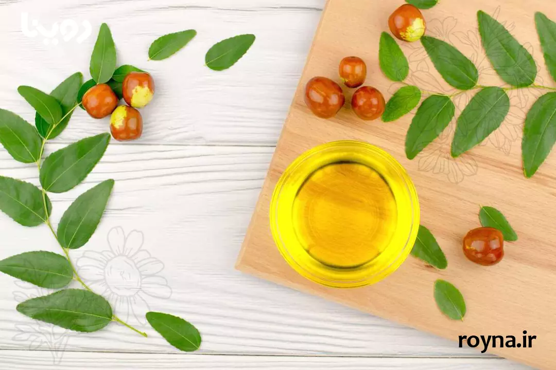 روغن جوجوبا چیست؟ 10+ معجزه جوجوبا برای بدن 1