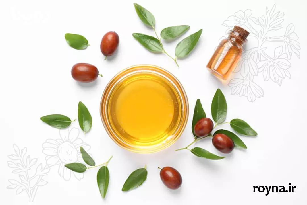 روغن جوجوبا چیست؟ 10+ معجزه جوجوبا برای بدن 2