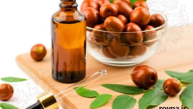 روغن جوجوبا چیست؟ 10+ معجزه جوجوبا برای بدن