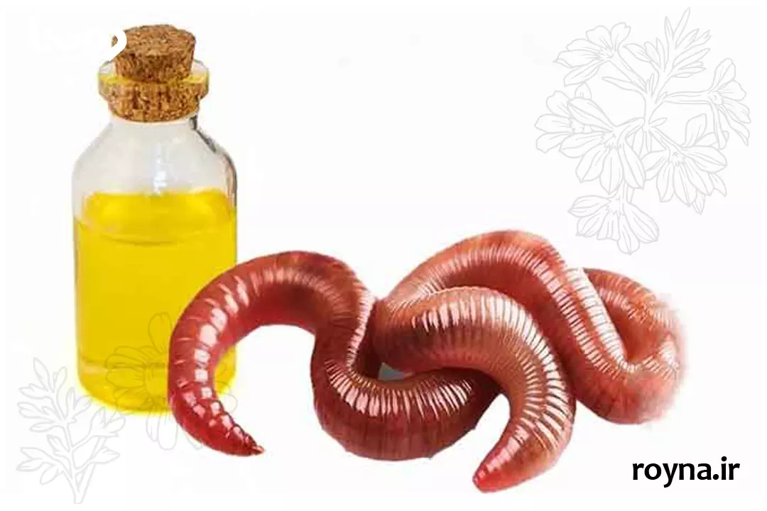 روغن خراطین چیست؟ 100% هر آنچه که باید بدانید! 3