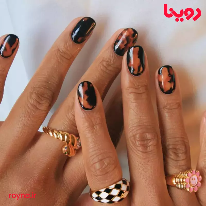۱. طرح لاک لاک‌پشتی