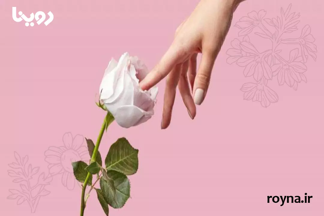ساختار پرده بکارت و احتمال پارگی بکارت با زبان