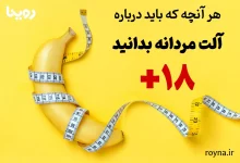 آلت تناسلی مردانه و آناتومی و انواع مختلف آن