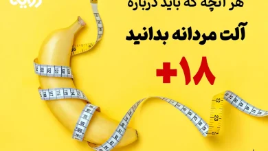 آلت تناسلی مردانه و آناتومی و انواع مختلف آن