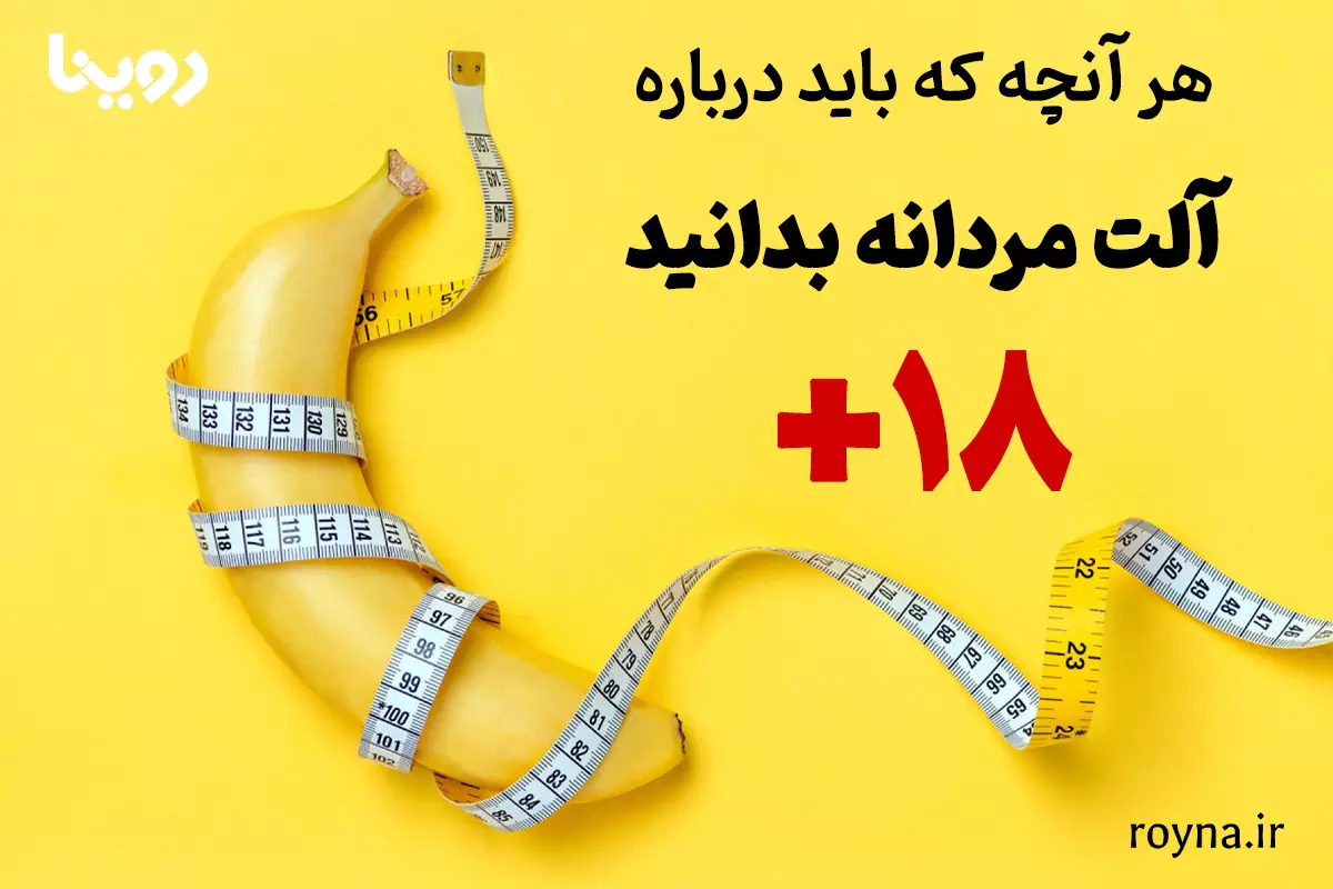 آلت تناسلی مردانه و آناتومی و انواع مختلف آن